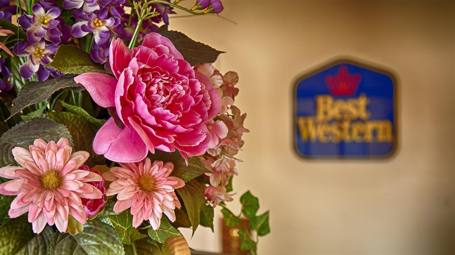 Best Western Executive Inn Marshall Esterno foto